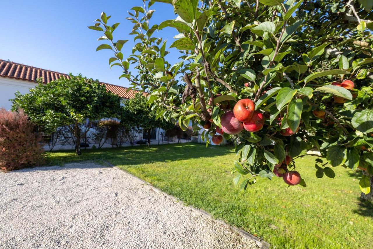 Casa Da Lagoa E Forja - Turismo Rural Mira  Eksteriør billede